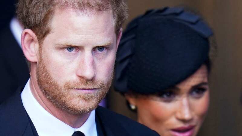 Prince Harry was said to be upset by the Buckingham Palace video (Image: POOL/AFP via Getty Images)