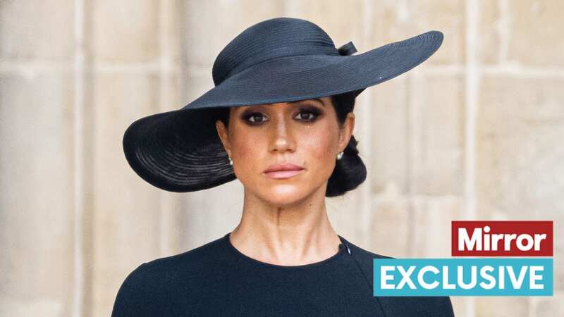 Meghan Markle looks set to write a memoir (Image: Samir Hussein/WireImage)