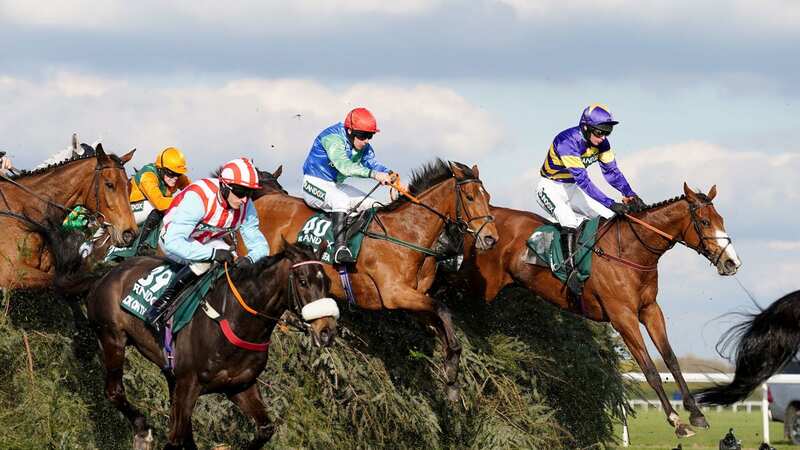 Grand National winner Corach Rambler clears a fence on the way to victory (Image: PA)