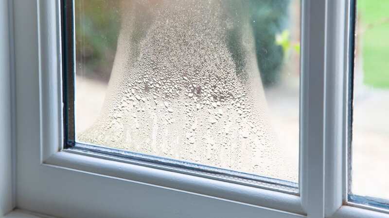 Condensation in your home can cause black mould which is something you want to try and avoid (Image: Getty Images)