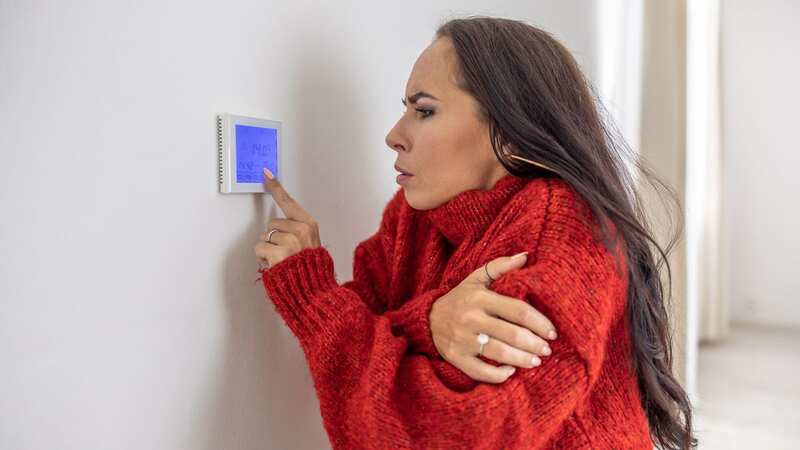Energy bills have spiked in recent years, but there is a way to cut down costs (stock photo) (Image: Getty Images)