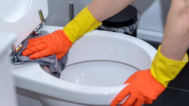 A professional cleaner says people should avoid using cloths or toilet brushes to clean their toilets (Image: Getty Images/EyeEm)