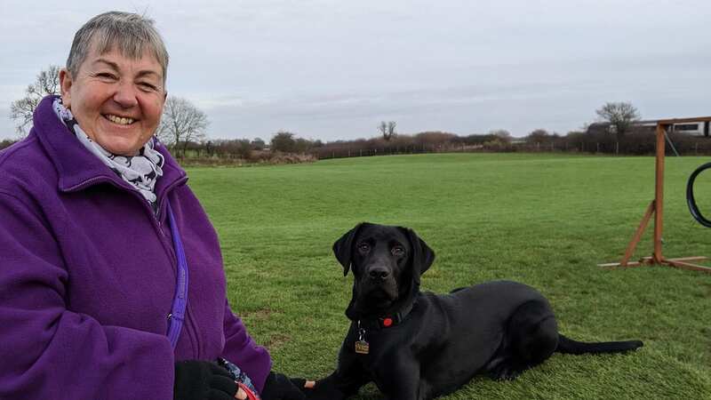 From puppy to companion - the journey of a guide dog