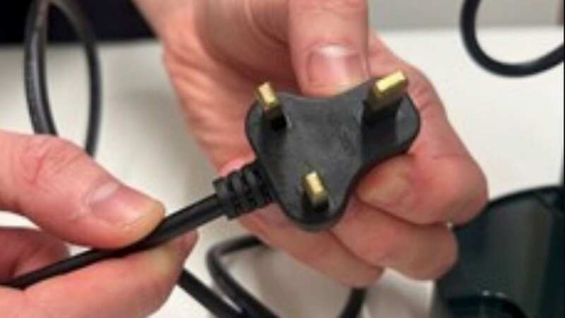 People have been urged to check their plugs (Image: Electrical safety First)