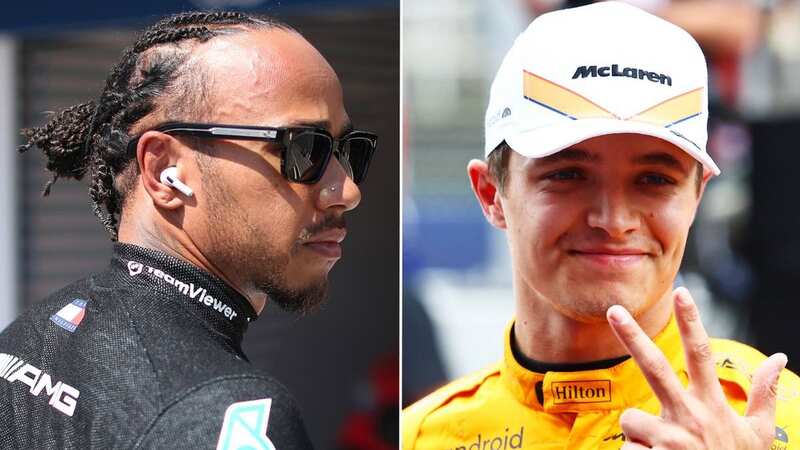 F1 bosses put Lando Norris above Lewis Hamilton for his performances in 2023 (Image: AFP via Getty Images)