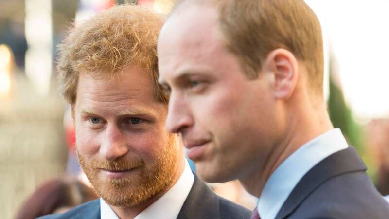 Harry and William once had a close sibling bond (Image: UK Press via Getty Images)