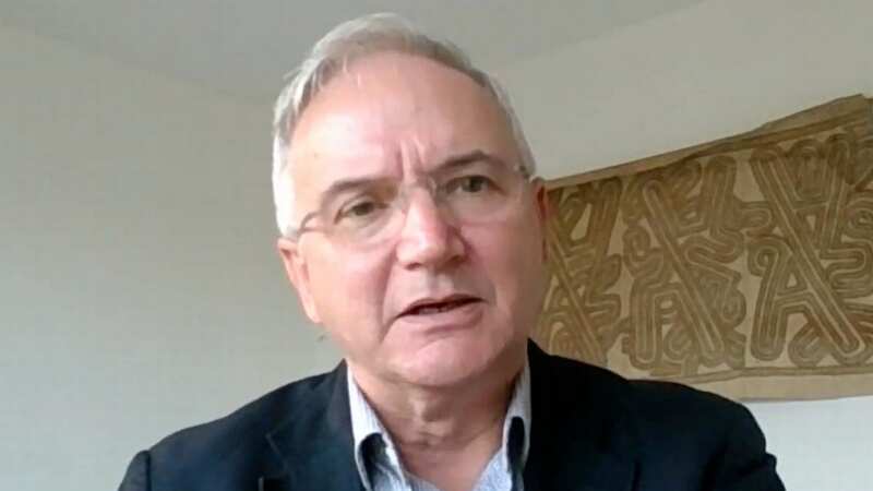 Professor Peter Openshaw, a virus expert at Imperial College London (Image: sky news)