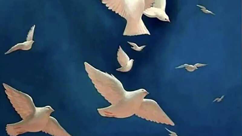The picture has two images blended into one (full image below) (Image: @mia_yilin/TikTok)