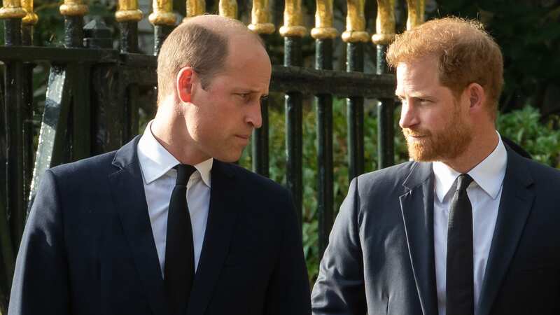 Estranged brothers Princes William and Harry (Image: In Pictures via Getty Images)