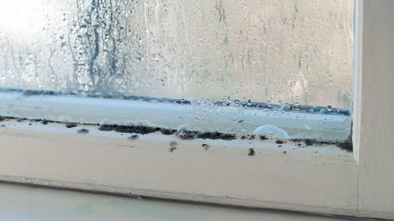 Condensation can lead to issues such as black mould (stock photo) (Image: Getty Images/iStockphoto)