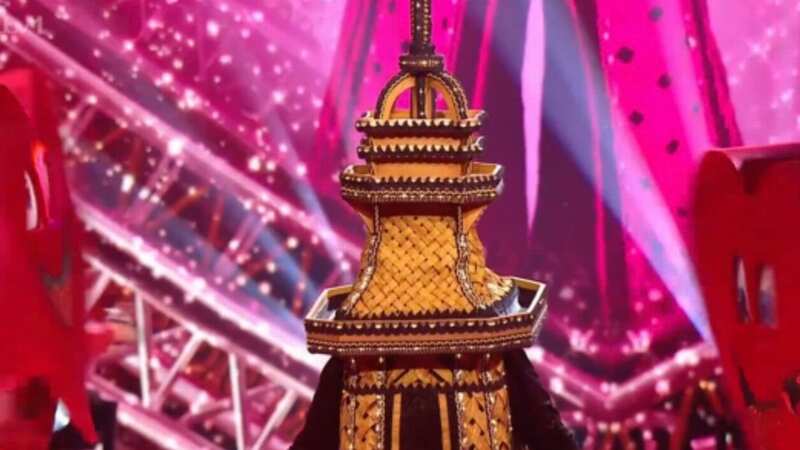 The Masked Singer fans have 