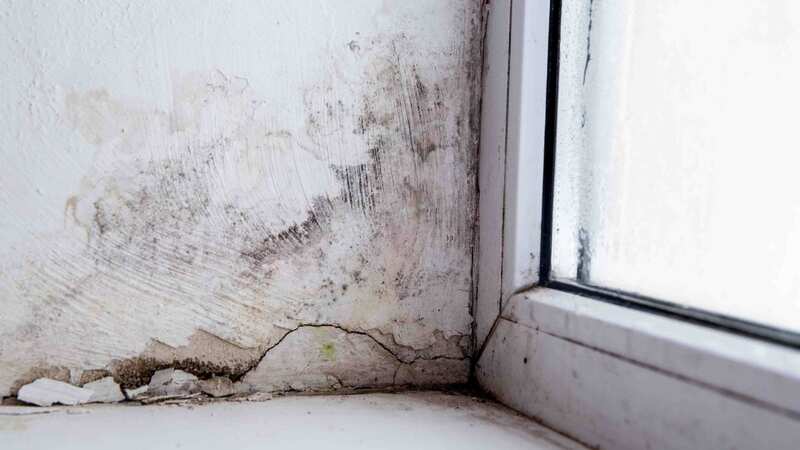 Windows in winter time can be a breeding ground for mould (Image: Getty Images/iStockphoto)
