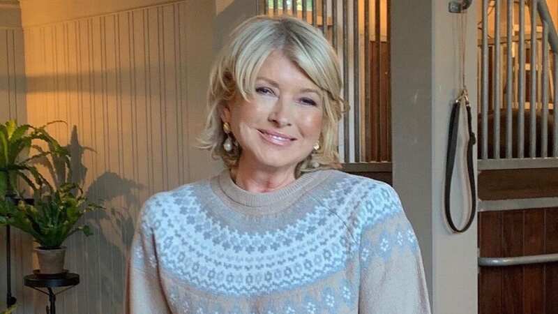 Martha Stewart shared that there are nine spices you need in your cupboard (Image: Getty Images)