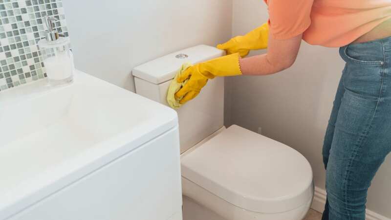 You can clean your toilet with just one 