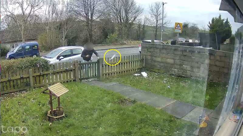 Evri delivery driver caught on camera throwing parcel across garden like frisbee