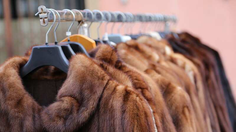 She believed vintage fur to be more ethical (stock photo)