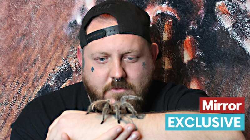 Aaron Phoenix, 36, has rescued over 100 spiders in the last year alone which he