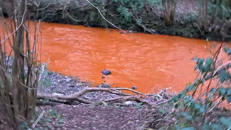 Residents of Torfaen were left shocked after a huge section of a Welsh river turned bright orange (Image: Alida Smith)