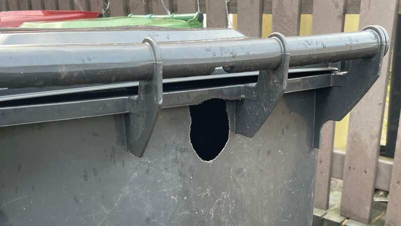 One mum is terrified to open her own bin because she fears rats jumping out at her (Image: Paige Oldfield)
