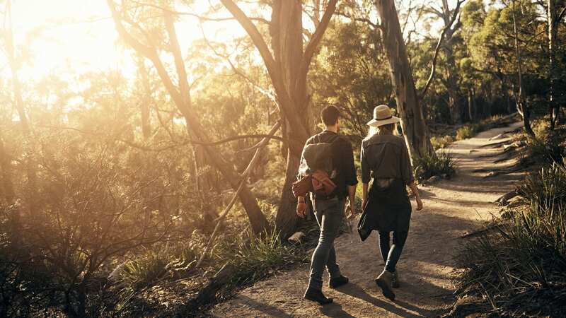 Walking can help you to lose weight (Stock Image) (Image: Getty Images)