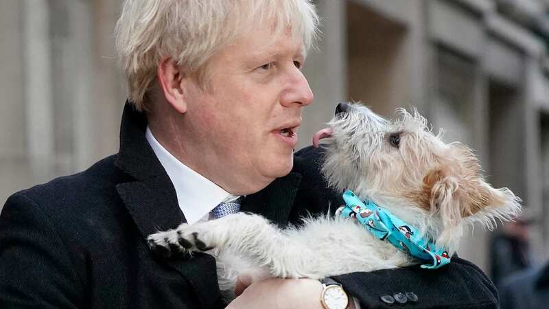 Boris Johnson with his dog, Dilyn (Image: Getty Images)
