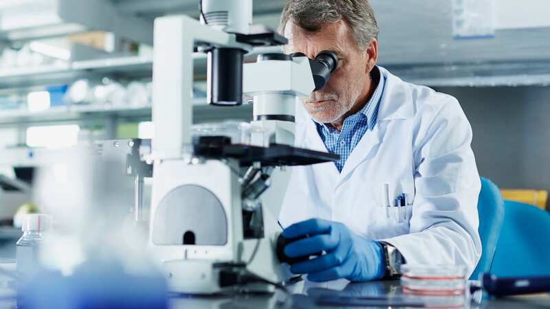 A scientist examines material in a lab (file image) (Image: Getty Images)