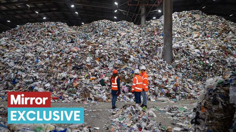 The Biffa Recycling Plant in north London processes an average of 5,200 tonnes of recycling each week (Image: Philip Coburn /Daily Mirror)