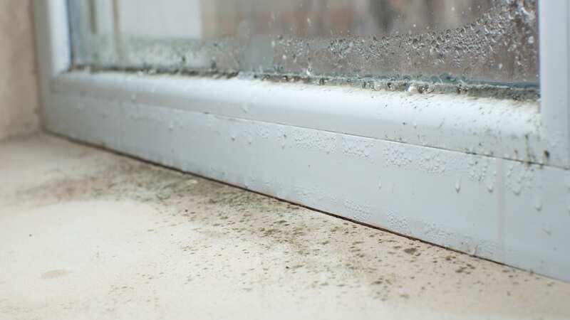 Condensation can spawn mould if left untreated (Image: Getty Images/iStockphoto)