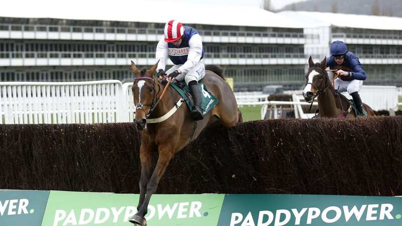 Flutter, the owner of Paddy Power, saw its share soar on the back of rising revenues (Image: PA Wire/PA Images)