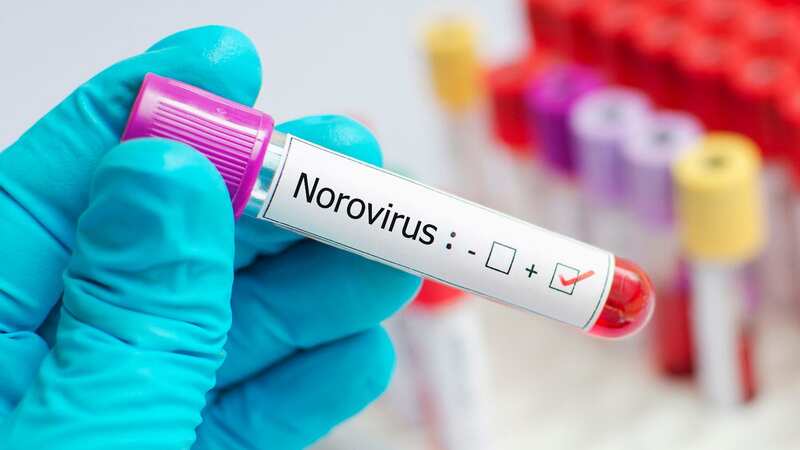 Norovirus rates are 50 per cent up on their seasonal average (stock image) (Image: Getty Images/iStockphoto)