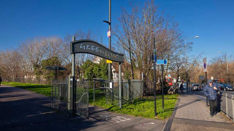 Newborn found in shopping bag by dog walker in subzero temperatures