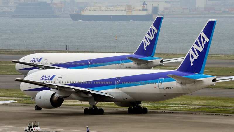 All Nippon Airways plane (Image: AFP/Getty Images)