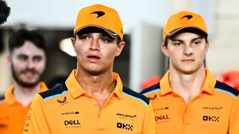 Lando Norris and Oscar Piastri head into their second F1 season as McLaren team-mates (Image: Getty Images)