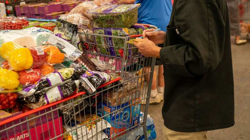 A shopper at a Costco Wholesale store in Colchester, Vermont (Image: Getty Images)