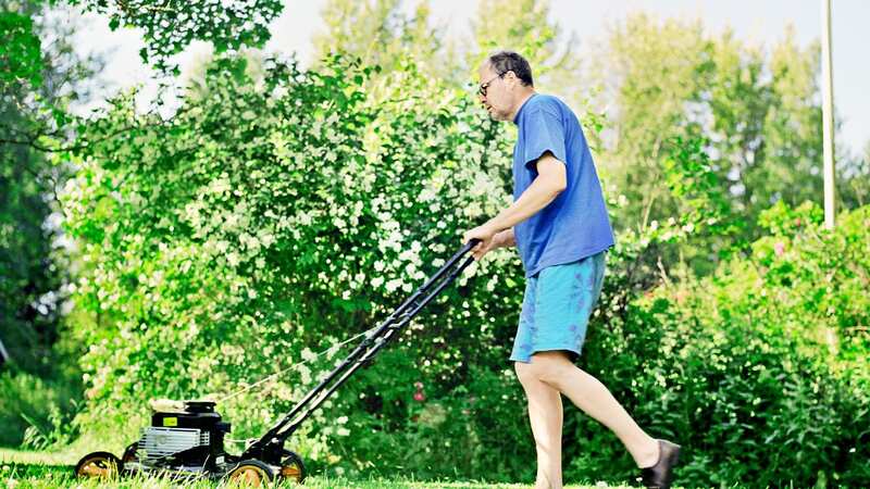 Mowing too early can cause more harm than good (Image: Getty Images/Folio Images RM)