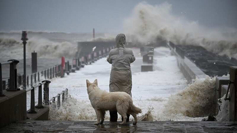 Fierce gales of up to 80mph could batter some areas at the weekend, the Met Office warned (Image: Getty Images)