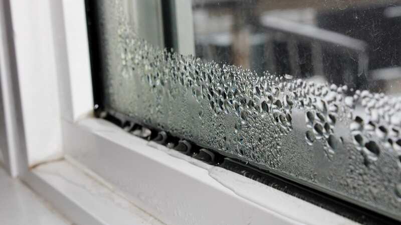 Condensation can cause mould, leading to health problems (Image: Getty Images/iStockphoto)