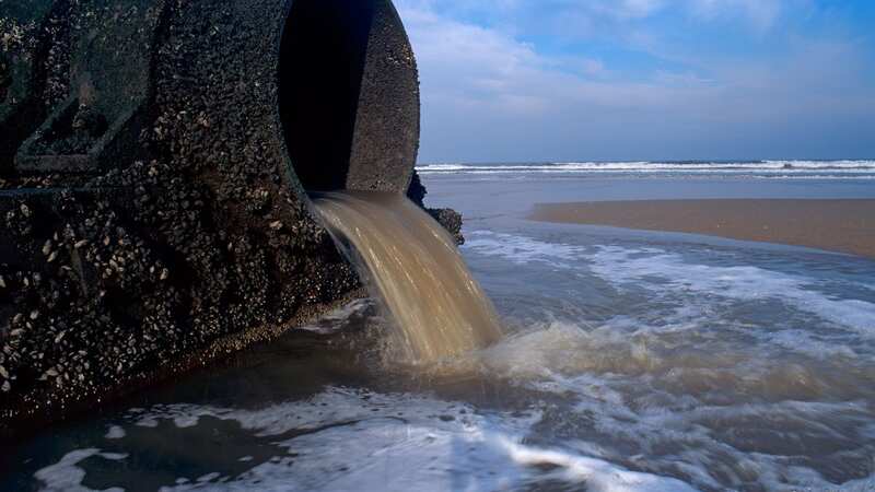 Water firms have been dumping raw sewage in rivers, lakes and seas  (Image: Alamy Stock Photo)