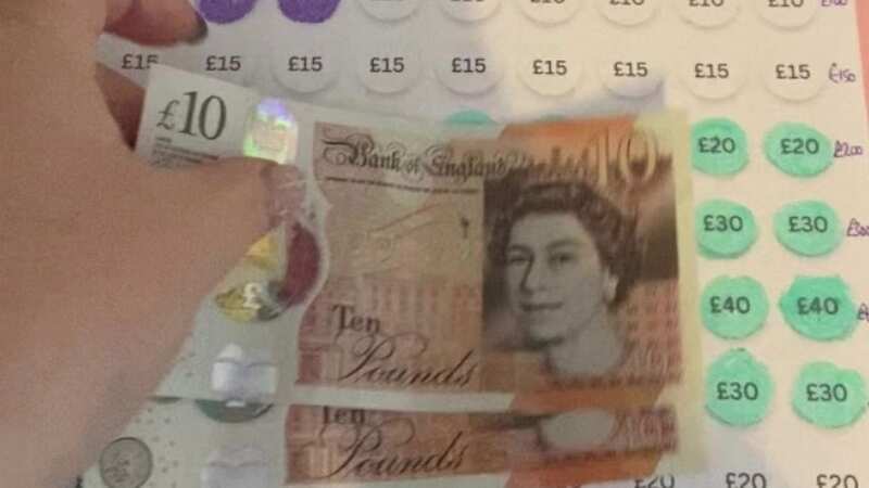 Tish explained how her savings challenge works (Image: @saving_with_tish/Tiktok)
