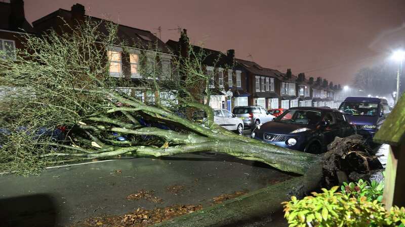 Storm Isha has felled trees and left 24,000 homes without power (Image: Anita Maric / SWNS)