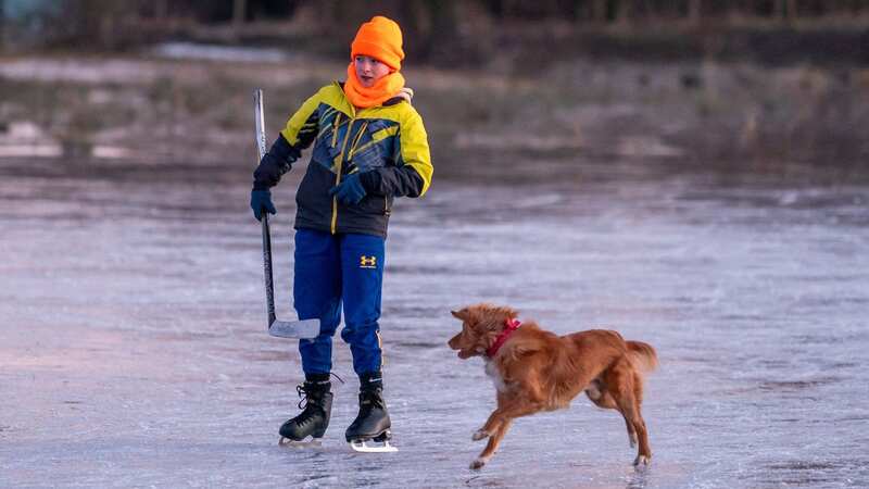 A boy plays with his dog on a frozen lake in Cambridgeshire (Image: James Linsell-Clark / SWNS)