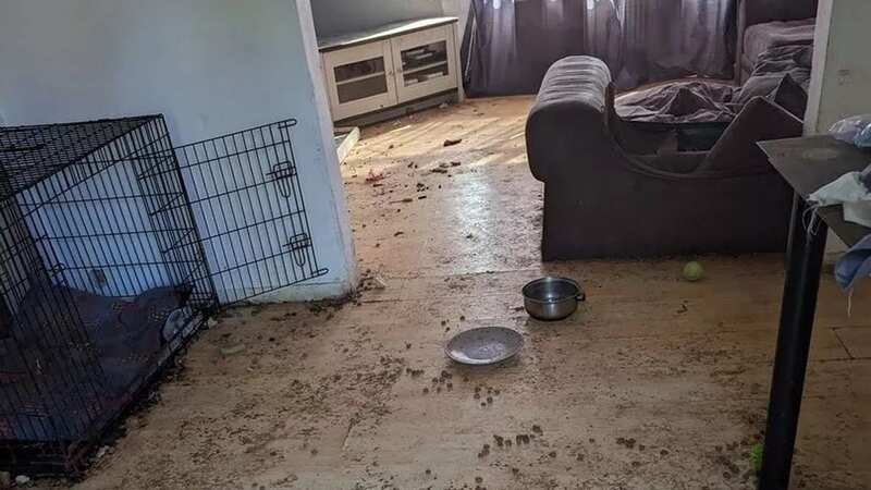 The conditions that Daisy was forced to live in (Image: Liverpool Echo)