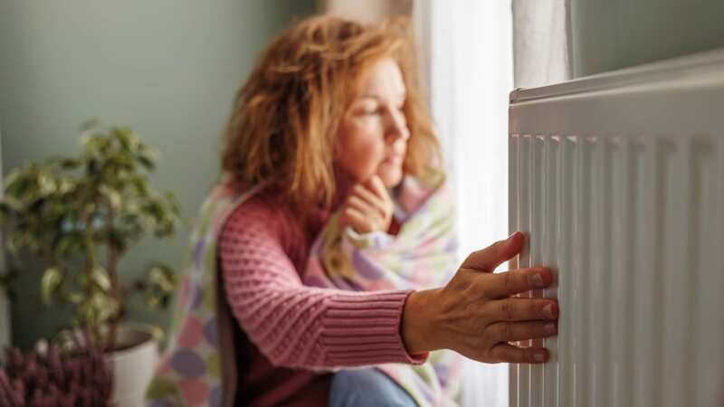 As energy bills continue to rise - many Brits are struggling to keep warm without breaking the bank (Stock photo) (Image: Getty Images)