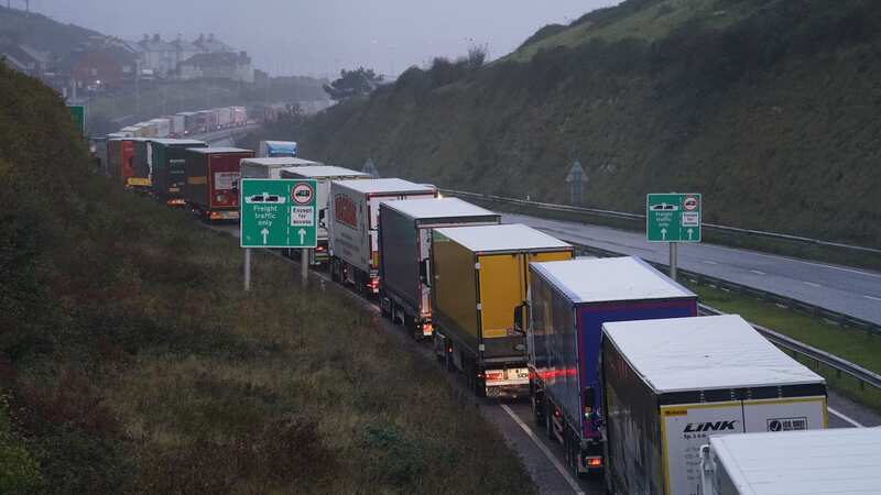 MPs were told that tourists heading to Europe could be forced to join mammoth queues around the Port of Dover (Image: PA)