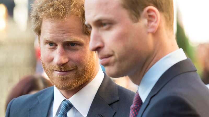 Royal author claims William furiously snubbed Harry (Image: UK Press via Getty Images)