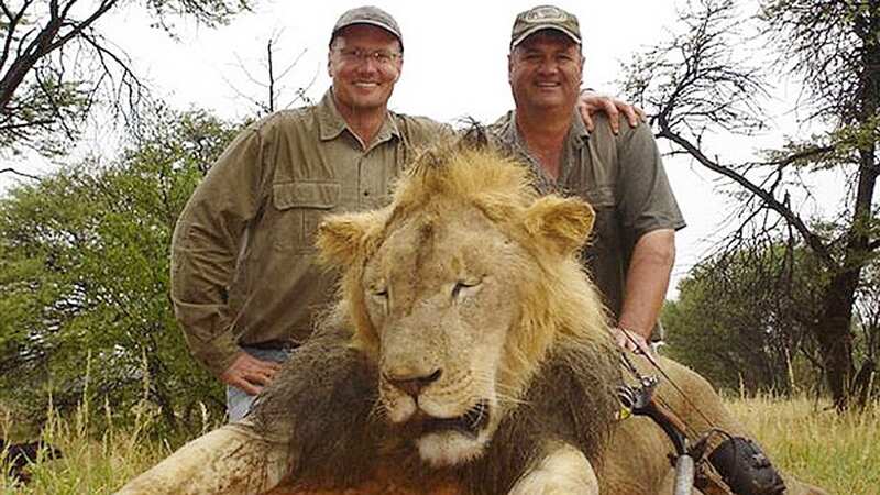 Walter Palmer (left) was found to have shot Cecil, one of Zimbabwe