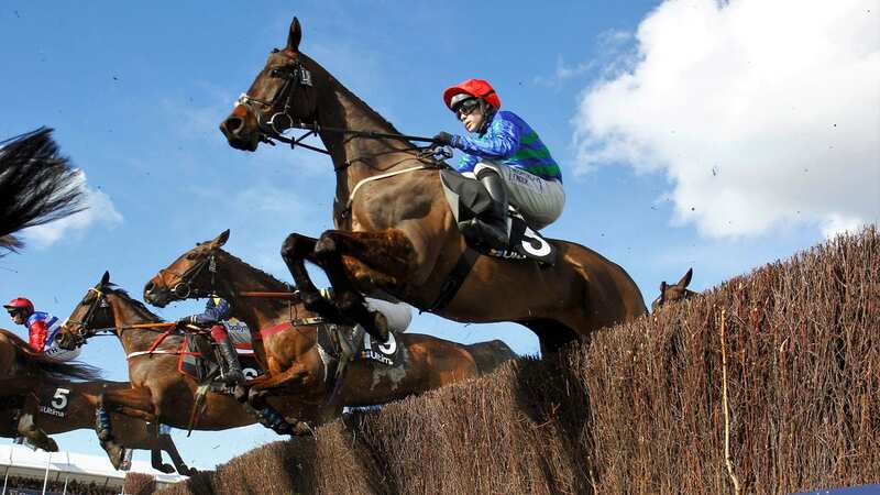 Mnobeg Genius is a market leader for the Grand National