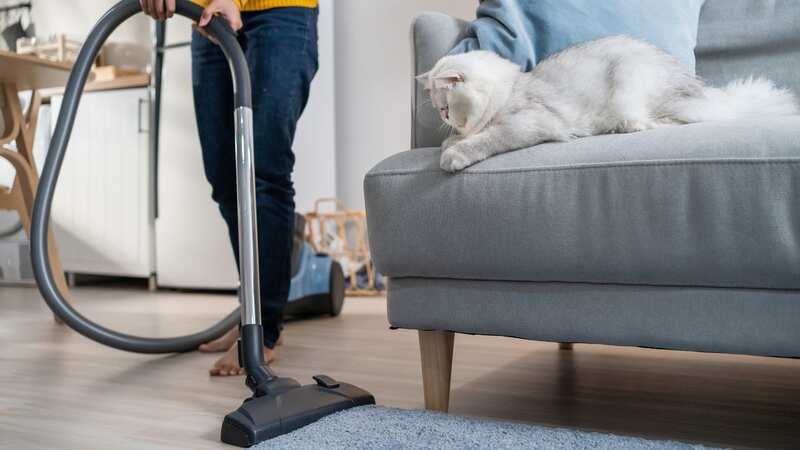 The woman revealed her carpet would get messy easily (stock photo) (Image: Getty Images/iStockphoto)