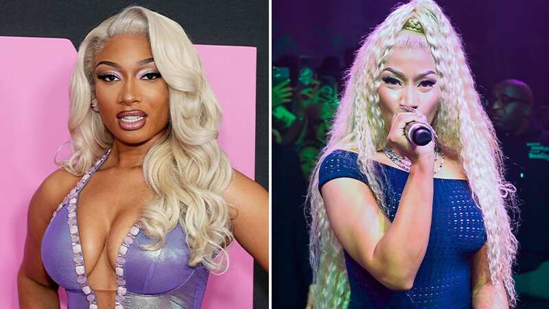 Megan Thee Stallion and Nicki Minaj are seemingly throwing shade at each other (Image: getty)