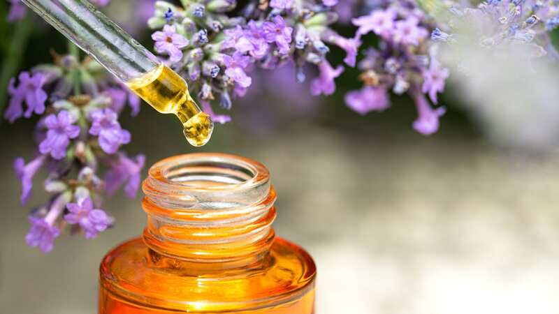 Lavender oil is one of the nation’s oldest fragrances (Image: Getty Images)